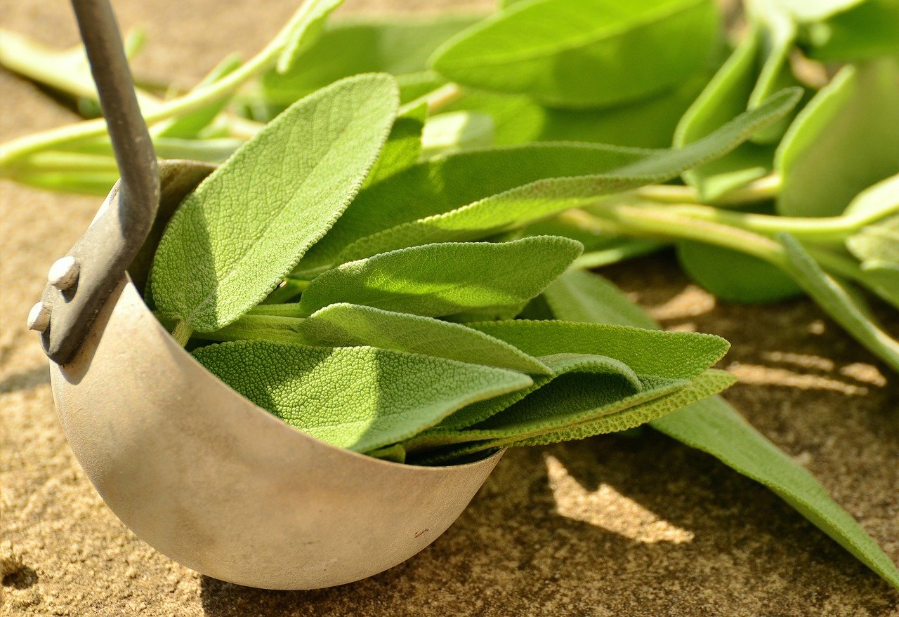 How to guide: Cooking with Sage