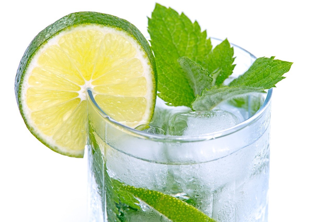 Using Mint For A Refreshing Taste in The Kitchen